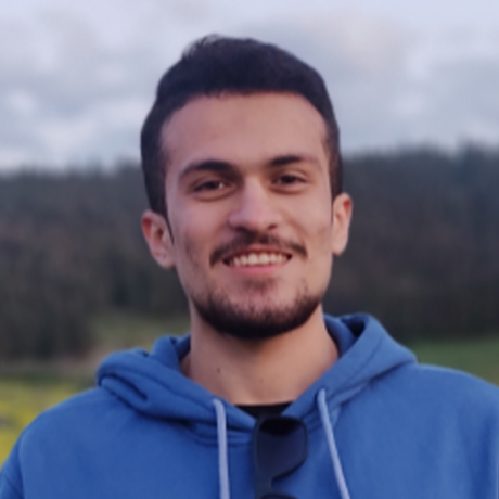 MohammadHosein Bahmani